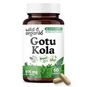 Wild & Organic Gotu Kola Capsules 600 mg - Brain Support - Gotu Kola Powder Supplement - Centella Asiatica Extract - 60 Days of Supply - Vegan, No Fillers, Non-GMO - 60 Count