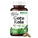 Wild & Organic Gotu Kola Capsules 600 mg - Brain Support - Gotu Kola Powder Supplement - Gotu Kola Extract - 90 Days of Supply - Vegan, No Fillers, Non-GMO - 90 Count