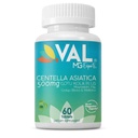 VAL Gotu Kola + Magnesium Citrate & Centella Asiatica | Focus, Calm & Circulation Support* | 60 Vegan Tablets | Non-GMO, Gluten-Free, USA Made
