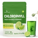 Chlorophyll Powder, 120mg Clorofila for Drinking – Supports Alkalization, Gut Health & Clean Energy – 30 Servings, (Lime Twist)