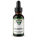 Chlorophyll from Mulberry Leaf as Sodium Copper Chlorophyllin (2mg Copper per 15 Drops) w/Peppermint Essential Oil. (1)