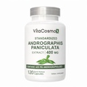 Andrographic Paniculata, 400 mg, 120 Capsules, Non-GMO, Gluten-Free, Quick-Release Capsules