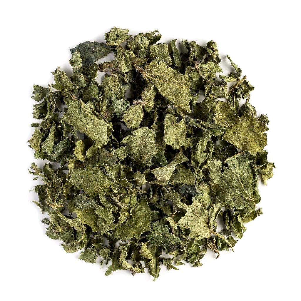 Nettle Tea Organic Loose Leaf Dried Stinging Leaves - Daily Infusion | Hand harvested nettle leaves dried whole for an earthy green infusion enjoyed hot or iced any time of the day