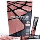 WELLNESS LABSRX Creatine Monohydrate Powder Sachets 300g – Peach Flavor Micronized Creatine Powder Supplement, Creatine for Women and Men, Supports Muscle Strength, Energy, Performance - 60 Servings