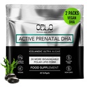 Orlo Prenatal DHA Supplement 1000mg - Mercury & Heavy Metals Free Algae Oil - Icelandic Nordic Omega-3, Mom & Baby Brain Development, No Fishy Aftertaste, 120 Vegan Easy-to-Swallow Mini Softgels