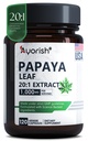 Papaya Leaf Extract 1000mg 120 Capsules
