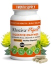 Rhoziva Digest Gut Health Supplement with Digestive Enzymes for Men & Women - Probiotics & Prebiotics for Gut Health Supplement - Daily Synbiotic Gut Vitamins for Men & Women - 60 Capsules