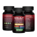 Organic Himalayan Shilajit Capsules 8-in-1 for Energy & Stamina - 60 Vegan Capsules with Ashwagandha, Rhodiola, Ginseng | USDA Organic, Non-GMO, Gluten-Free