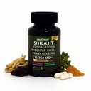 Shilajit Capsules for Men 8 in 1 Herbal Supplement Energy Booster for Adults Natural Formula with Ashwagandha, Rhodiola Rosea, Vegan, Support Overall Health|Vitality 60 Count