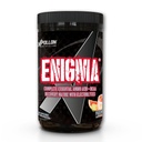 Apollon Nutrition Enigma – Complete EAA + BCAA Recovery Matrix | 23.5g Total Aminos, 5g Leucine | Glutamine + Electrolytes | 40 Servings (40 Serving, Paloma)
