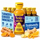 balaveda Totally Turmeric Immunity Shots Plus Detox Support - Organic Ginger Shots with Turmeric, Lemon, and Astragalus - Antioxidants and Anti-inflammatory support - 2oz Bottles (Pack of 12)