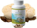 MushroomScience Lions Mane Mushroom Capsules, Memory & Concentration Support, Full Spectrum Extract, Mushroom Supplement for Adults, Hot Water Extracted Mushrooms, Vegetarian, 300MG, 90 ct