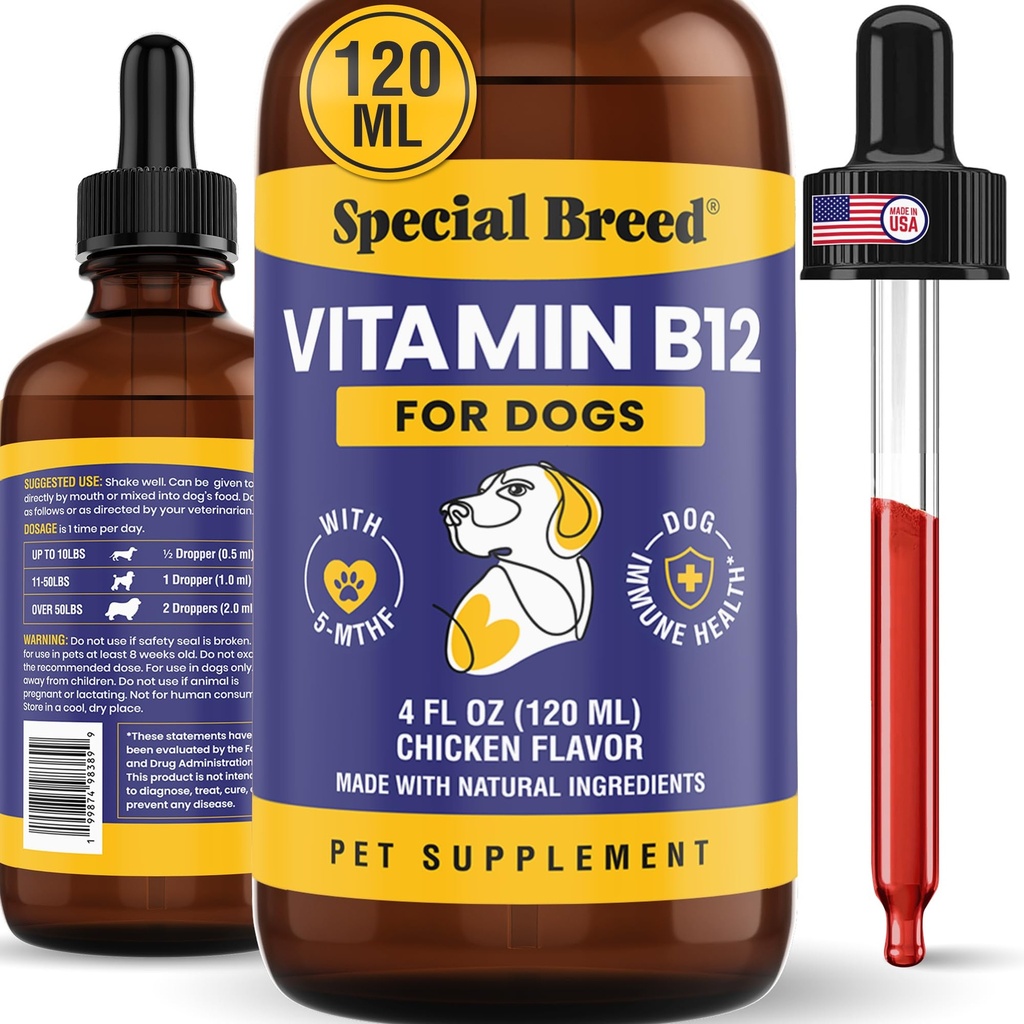 Special Breed Liquid Vitamin B12 for Dogs – Methylcobalamin and 5-MTHF – Boosts Energy, Appetite, Mood & Immune System Support, Easy-to-Use Dropper - Chicken Flavor, 4 fl oz