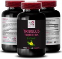Tribulus Terrestris root - Premium Tribulus - TRIBULUS TERRESTRIS EXTRACT - Pure Tribulus extract, , Tribulus Terrestris capsules, Tribulus powder, Tribulus for energy, Tribulus extract - 1Bottle