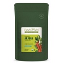 Banyan Botanicals Arjuna Bark Powder – Organic Arjuna (Terminalia Arjuna) – Natural Herbal Heart Health Supplement and Rejuvenating Tonic* – ½ lb. – Non-GMO Sustainably Sourced Vegan