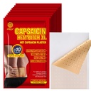 KONGDY 20 Pcs Capsaicin Heat Relief Patch, 4.72"x7.08" Extra Strength Capsicum Plaster Patches for Back, Neck, Shoulder, Knee (20 Pcs)