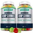 Hemp Gummies (2 Packs) High Potency Organic Hemp Supplement - Pain, Sleep, Mood - with Pure Hemp Oil Extract - Natural Edibles Gummy-Vegan, Non-GMO, Low Sugar