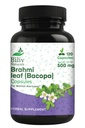 Bacopa Supplement - Bacopa Monnieri, Brain, Focus and Memory Support, Vegan, Gluten-Free - 500 mg, 120 Capsules.