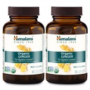 Himalaya USDA Organic Ginger Root Capsules, Digestive Health Ginger Supplement for Nausea, Upset Stomach Relief, and Occasional Bloating and Heartburn-Vegan,Non-GMO,120 Caplets