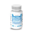 Akkermansia Muciniphila 20 Billion TFU | with Inulin & Plant-Based FOS | Gut Barrier & Digestive Support | Microbiome Balance, Metabolic Support | No Refrigeration Required | 60 Capsules