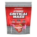 Myogenix Critical Mass Gainer – Muscle Mass Weight Gain Supplement, Zero Lactose Whey Protein Powder – Anabolic Whey Protein – Strawberry (5 lbs)