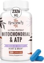 2326 phụ MG Mitocondrial với APS, vitamins, CoQ10 & PQQ, nhiều hiệu quả hơn sáng tạo HMB & Nitric Oxide, năng lượng, sức chịu đựng, sức mạnh, và cơ bắp, 120 Capsules