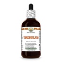 Tribulus (Tribulus Terrestris) Dry Fruit Glycerite, All Natural, Vegan, Lab Tested Alcohol-Free Liquid Extract - 4 fl.oz