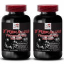 Energy Enhancement - TRIBULUS TERRESTRIS EXTRACT - Strength Recovery Formula, Active Stamina Support, Physical Power Booster, Dynamic Muscle Power, Energy Flow, Strength and Endurance 2Bot 180Tabs