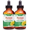 Mullein Drops for Lungs Cleanse – 2 Pack Lung Support Tincture with Mullein Leaf Extract, Herbal Respiratory Relief Supplement, Natural Glycerin-Based Liquid Formula
