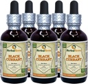 Mustaherukka (Ribes nigrum) Tincture, Kuivatut lehdet Liquid Extract (Brand Name: HerbalTerra, Proudly Made in USA) 5x2 fl.oz (5x60 ml)