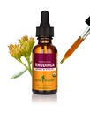 Herb Pharm Organic Rhodiola Rosea Energy & Vitality Extract: Organic Adaptogen Tincture for Stamina, Stress Response & Mental Clarity, Vegan, Non-GMO, Gluten-Free, 1 Oz