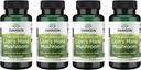Swanson Full Spectrum Lion's Mane Mushroom - Brain Health Supplement zum Support Memory, Focus & Clarity* - Kann auch Immun-, Herz- & Verdauungs-Gesundheit - Gluten-Free & Non-GMO - 60 Kapseln (4 Packung)