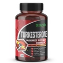 Ultra Turkesterone Ajuga Turkestanica Standardized 20% Turkesterone High Potency with Maca Root Tribulus Terrestris - Muscle Growth Energy Memory Support