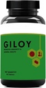 Pub Giloy Tablets (Guduchi), Natural Giloy Extract, Antioxidant Properties, Immunity Booster, Health and Wellness with 2X Immunity - 60 Veg Tablets