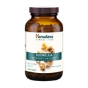 Himalaya Boswellia Extract Capsules, Boswellia Serrata, Boswellia Supplement, Joint Support for Mobility and Flexibility, Frankincense Supplement, Promotes Tissue Preservation, 250 mg, 240 Capsules