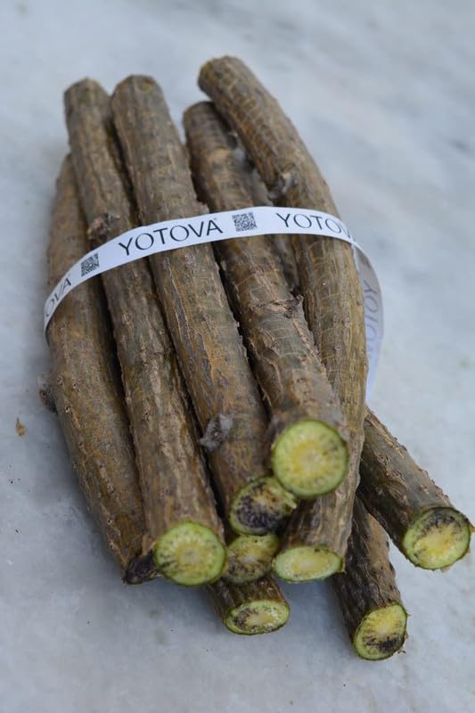 13 of pack Fresh Neem Tree Giloy Plantation Sticks Stems (6 -Inch) (Natural Immunity Booster), Green