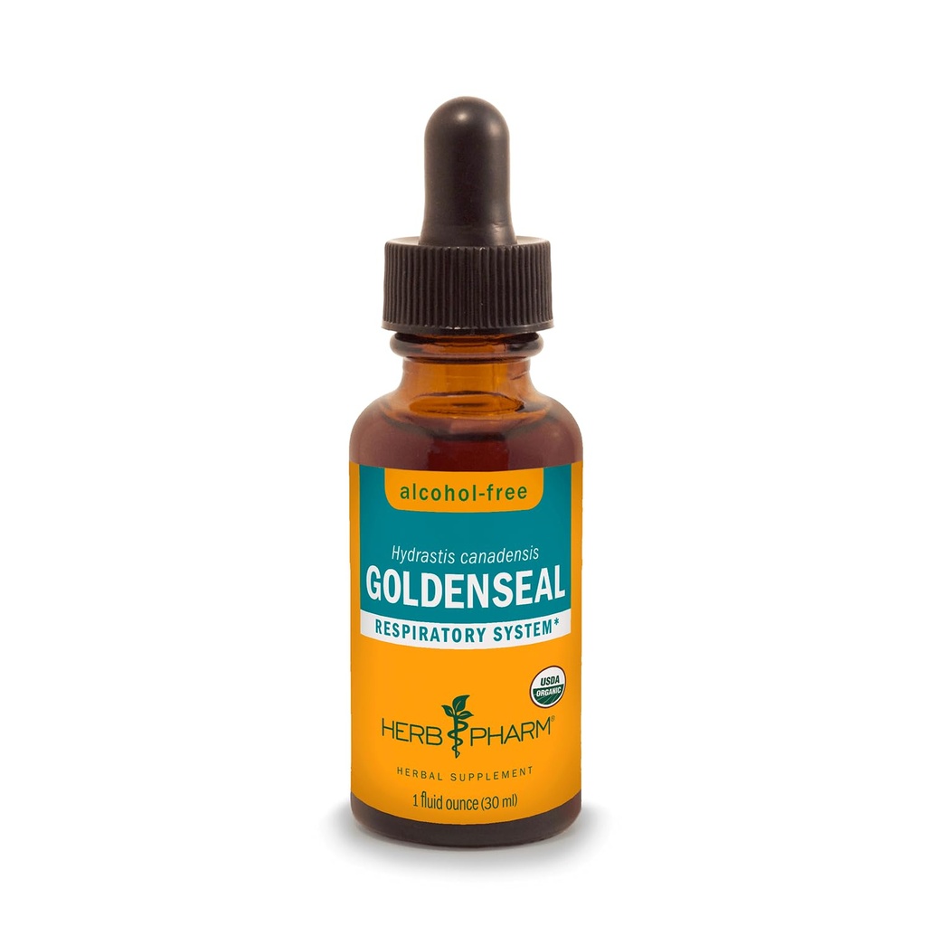 Herb Pharm Certified Organic Goldenseal Liquid Extract for Respiratory System Support, Alcohol-Free Glycerite, 1 Ounce