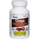 Sayan Siberian Chaga Mushroom Extract – 90 Capsules/420mg ea – Natural & Wild-Harvest Antioxidant Supplement – Immune System Support & Regulate Body Functions – Vegan, Non-GMO, No Fillers or Additives