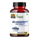 Humming Herbs Blueberry & Bilberry Extract — with Lutein, Vitamin C, Zinc, Provitamin A, Vitamin E, CoQ10 & Magnesium — 610 mg per Serving — 120 Capsules (120 Days) — Antioxidant, Eye & Immune Support