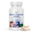 VHC Vitamin B1 Benfotiamine 600mg Supplement- 5X Time Fat-Soluble Thiamine Vitamin B1- Max Boost Bioavailable Thiamine B1 Levels Veggie Capsules,Non-GMO, Soy Free- Made in USA (240 Counts)
