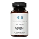 EGCG Green Tea Extract, High Antioxidant, Heart Support & Brain Health, Green Tea Pills, 100 Vegetarian Capsules