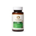 Maharishi Ayurveda Organic Tulsi– 500 mg, 60 Tabs – Herbal Supplement that Supports Respiratory & Immune Health, Promotes Detoxification & Lung Health. Organic Certified | Non-GMO | USDA Certified.*