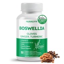 Boswellia with Cloves, Ginger, Turmeric, Vitamin C, Hyaluronic Acid, MSM, Devil's Claw – Supports Joint Health, Digestive Wellness* & Nutrient Absorption*