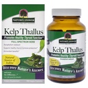 Nature's Answer Kelp Thallus, 100-Count