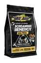 Screamin Energy Ultra Energy Shot