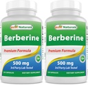 Best Naturals Berberine 500mg 120 Capsules - Supports Immune Function, Cardiovascular & Gastrointestinal Function (120 Count (Pack of 2))