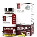 Berberine Supplement with Ceylon Cinnamon HCL 1500mg, Natural Berberine Extract for Metabolic Support & Overall Wellness – 120 Capsules
