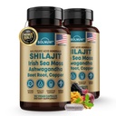 Shilajit Pure Himalayan Organic Capsules with Irish Sea Moss, Ashwagandha, Copper, Beet Root - Fulvic Acid Trace Minerals Supplement for Men & Women - 180 Count, Non-GMO, Gluten-Free