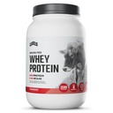 Levels Grass Fed Whey Protein Powder, No Artificials, 24G of Protein, Strawberry, 2LB