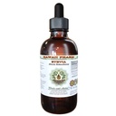 Hawaii Pharm Stevia Alcohol-Free Liquid Extract, Professional Grade, Small Batch Crafted Stevia (Stevia Rebaudiana) Dried Leaf Glycerite Natural Herbal Supplement, 4 fl.oz